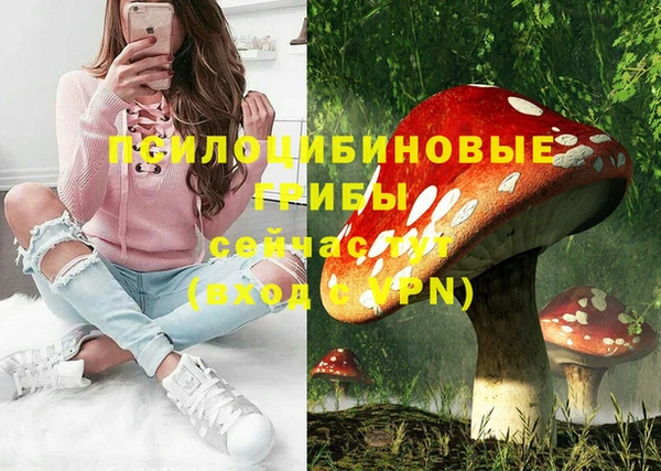 ПСИЛОЦИБИНОВЫЕ ГРИБЫ Алзамай