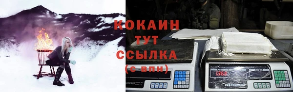 ПСИЛОЦИБИНОВЫЕ ГРИБЫ Алзамай