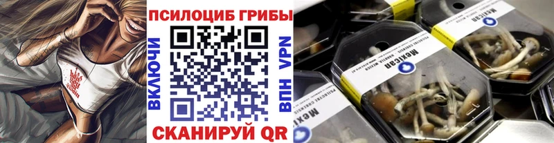 hydra   Поронайск  Псилоцибиновые грибы Psilocybe  как найти закладки 